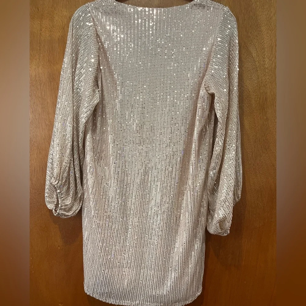 NWT Vine & Love Sparkling Sequin Dress - Rose Gold / Champagne - Picture 6 of 6